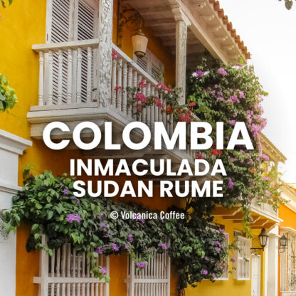 Colombia Sudan Rume, Finca La Inmaculada - Image 2