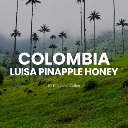 Colombia Pineapple Honey Coffee, Finca La Luisa - Image 2