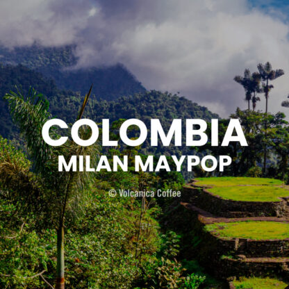 Colombia Private Estate Coffee, Finca Milan Julio Cesar, Maypop - Image 2