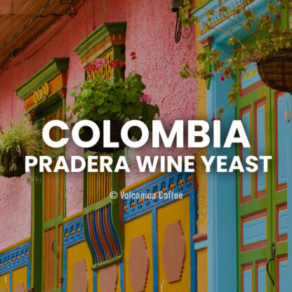 Colombia Wine Yeast Coffee - Image 2