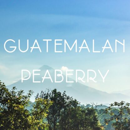 Exotic Peaberry Coffee Gift Box