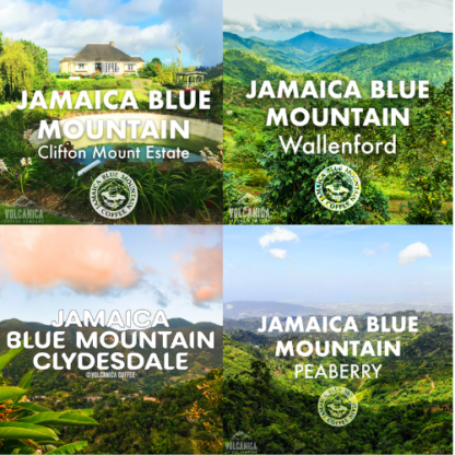 Jamaica Blue Mountains Coffee Roasters Gift Box - Image 2