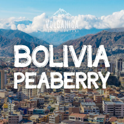 Bolivia Peaberry Coffee - Image 2
