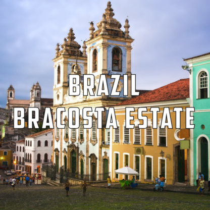 Brazil Coffee - Image 2