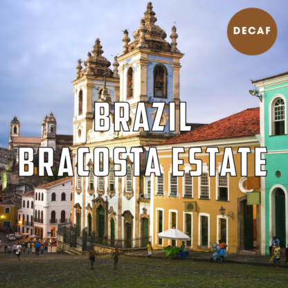 Brazil Decaf Coffee - Bracosta Estate - Image 2