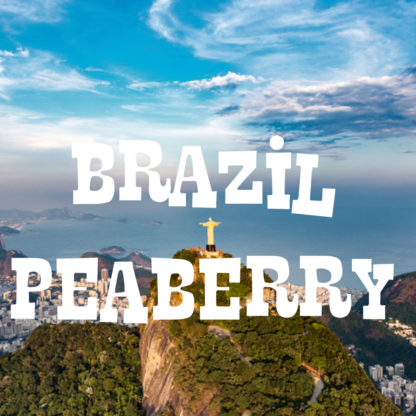 Brazil Peaberry Coffee - Image 2