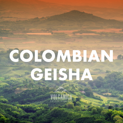Colombian Geisha Coffee - Image 2