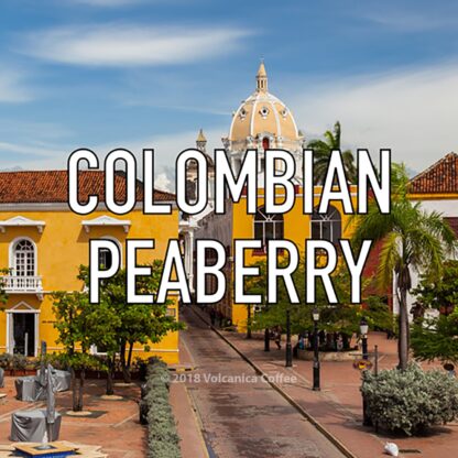 Colombian Peaberry Coffee - Image 2