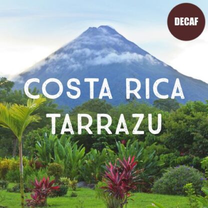 Costa Rica Tarrazu Decaf Coffee - Image 2
