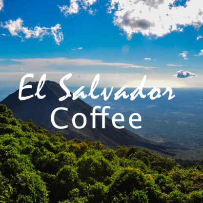 El Salvador Coffee - Image 2