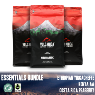 Essential Coffee Bundle