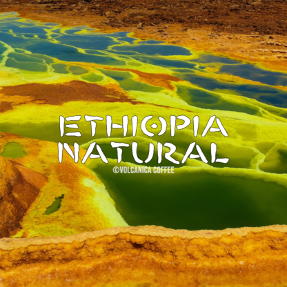 Ethiopia Natural Coffee, Natural Process - Image 2