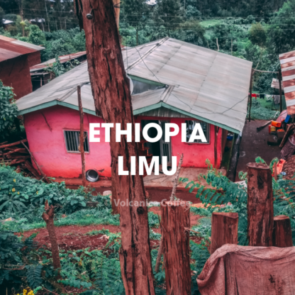 Ethiopian Limu Coffee - Image 2