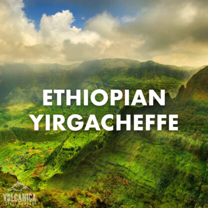 Ethiopian Yirgacheffe Coffee - USDA Organic - Image 2