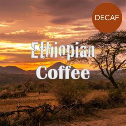 Ethiopian Yirgacheffe Decaf Coffee - Image 2