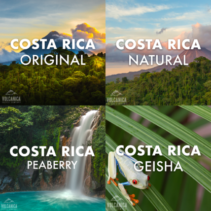Costa Rican Coffee Gift Box - Image 2