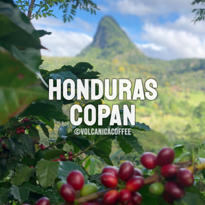 Honduras Coffee Copan - Image 2