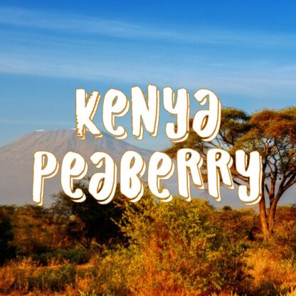 Kenya Peaberry Coffee - Image 2