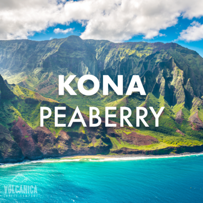 Kona Peaberry Coffee - Image 2