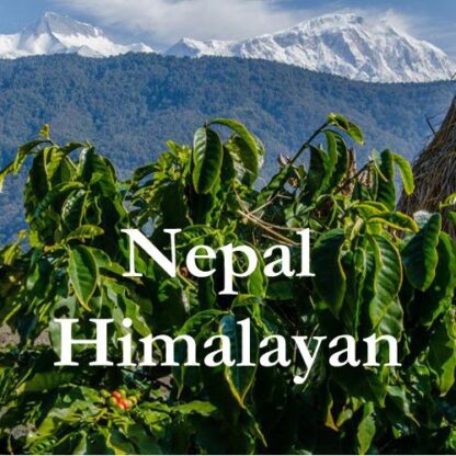 Nepal Coffee Himalayan - Image 2