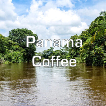 Panama Coffee - Image 2