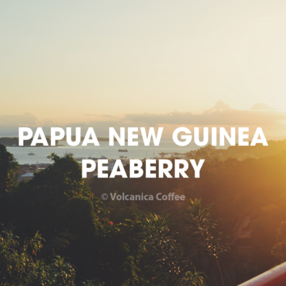 Papua New Guinea Peaberry Coffee - Image 2