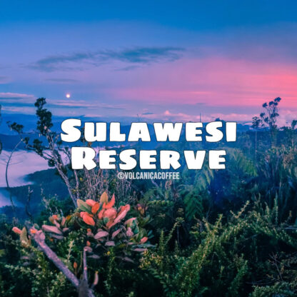 Sulawesi Dark Roast Coffee - Reserve, Celebes Kalossi - Image 2