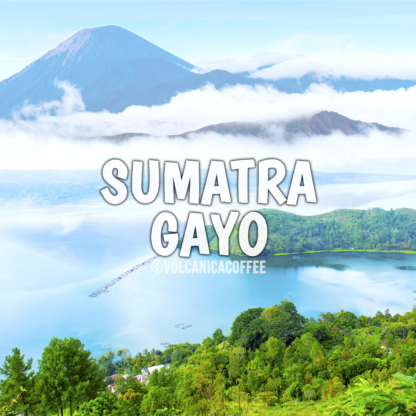 Sumatra Coffee Gayo - Image 2