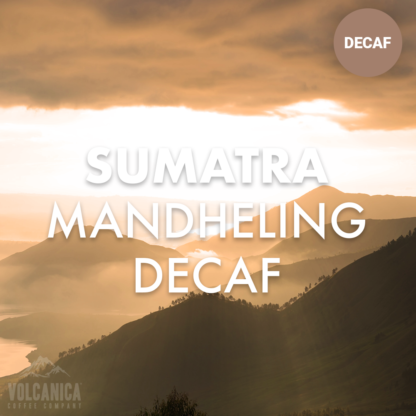Sumatra Decaf Coffee Mandheling - Image 2