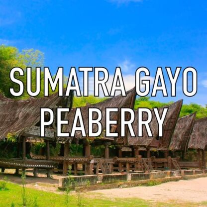 Sumatra Gayo Peaberry Coffee - Image 2