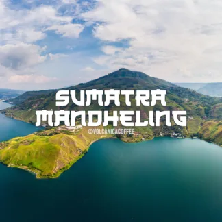 Sumatra Mandheling Coffee - USDA Organic