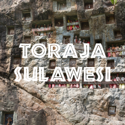 Toraja Sulawesi Coffee - White Eagle - Image 2